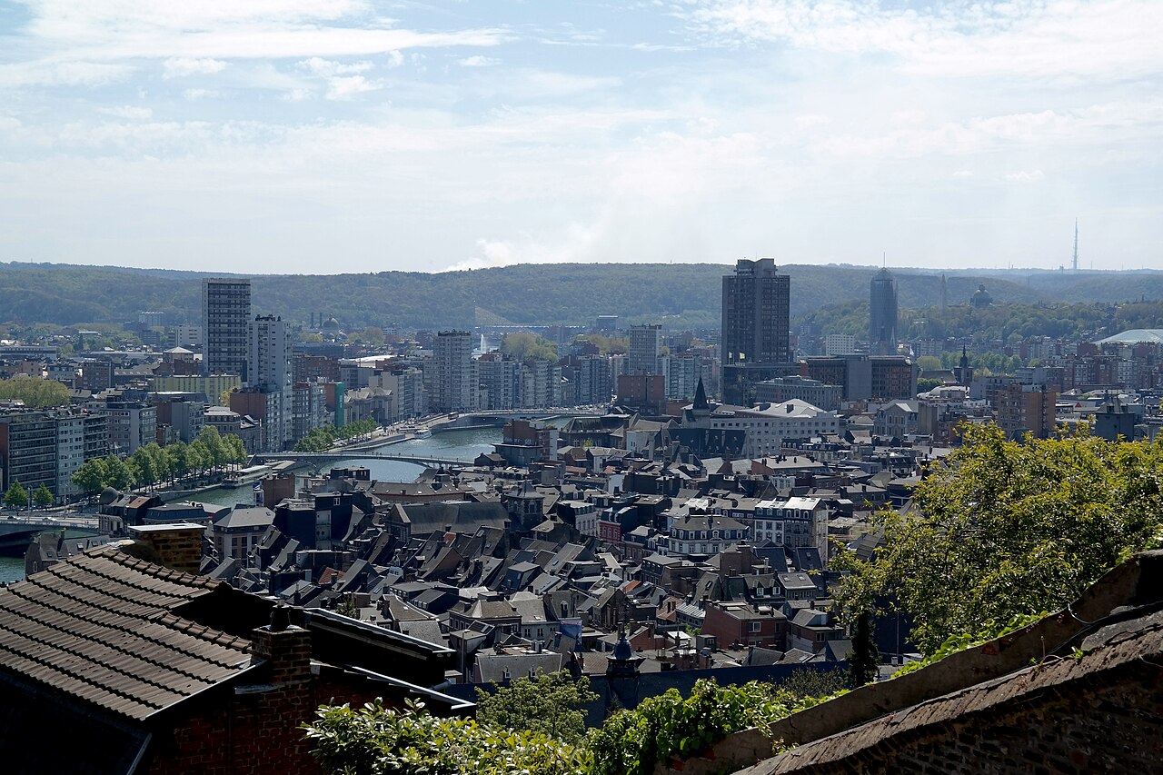 Liège vue depuis la citadelle, la Meuse et la ville